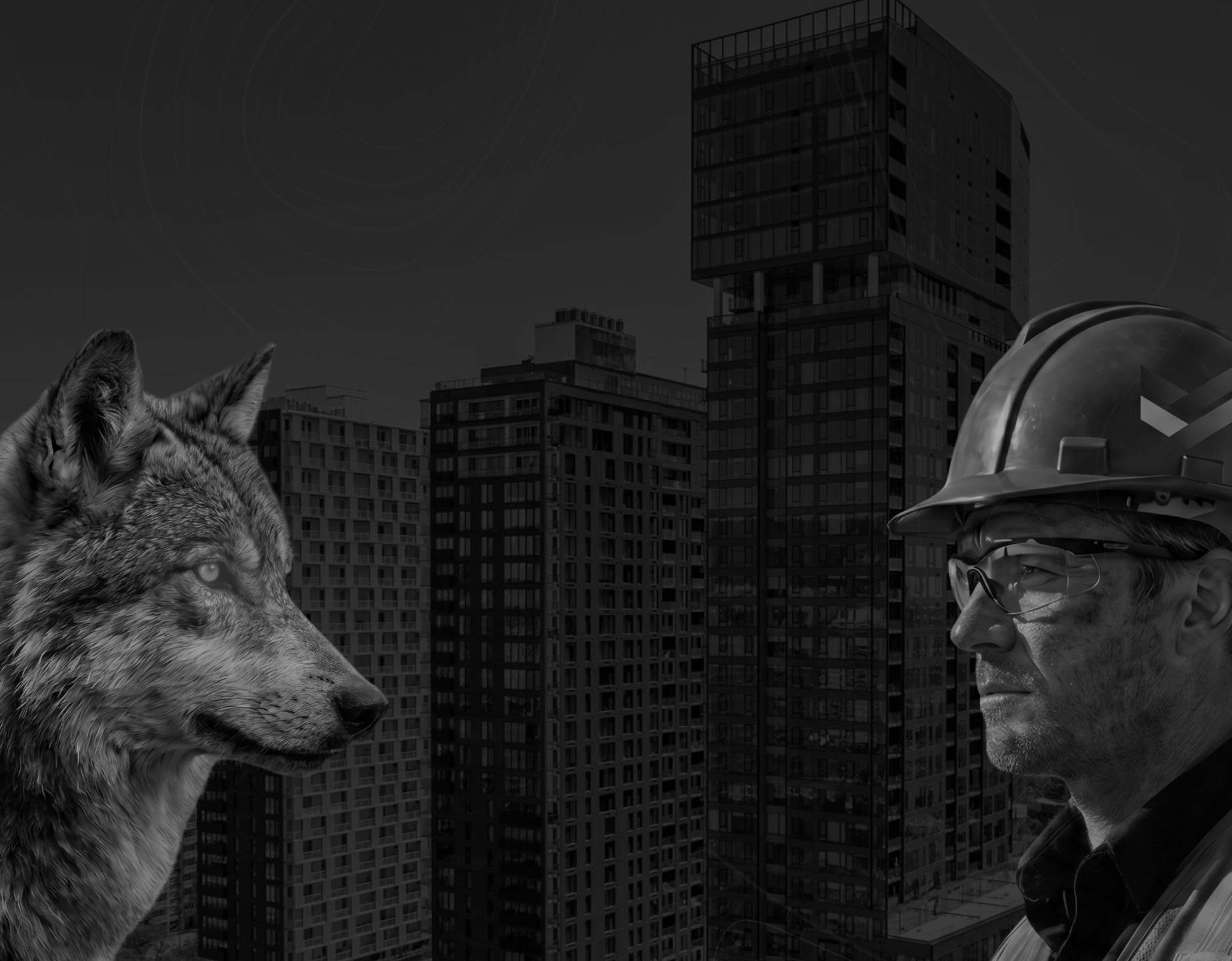 Monochrome scene of a wolf on the left facing a construction worker wearing a hard hat on the right, with a city skyline in the background.