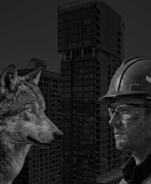 Construction worker in a hard hat faces a wolf against a city construction backdrop (monochrome).