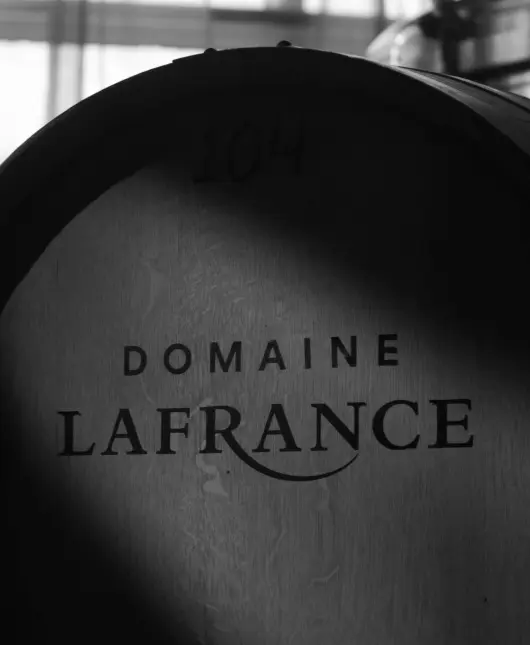 Wine barrel with the text 'Domaine Lafrance' branded on its wooden surface (black and white photo)